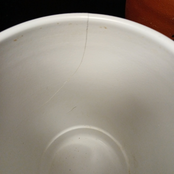 Random Flower Pots - Picture 4 of 4